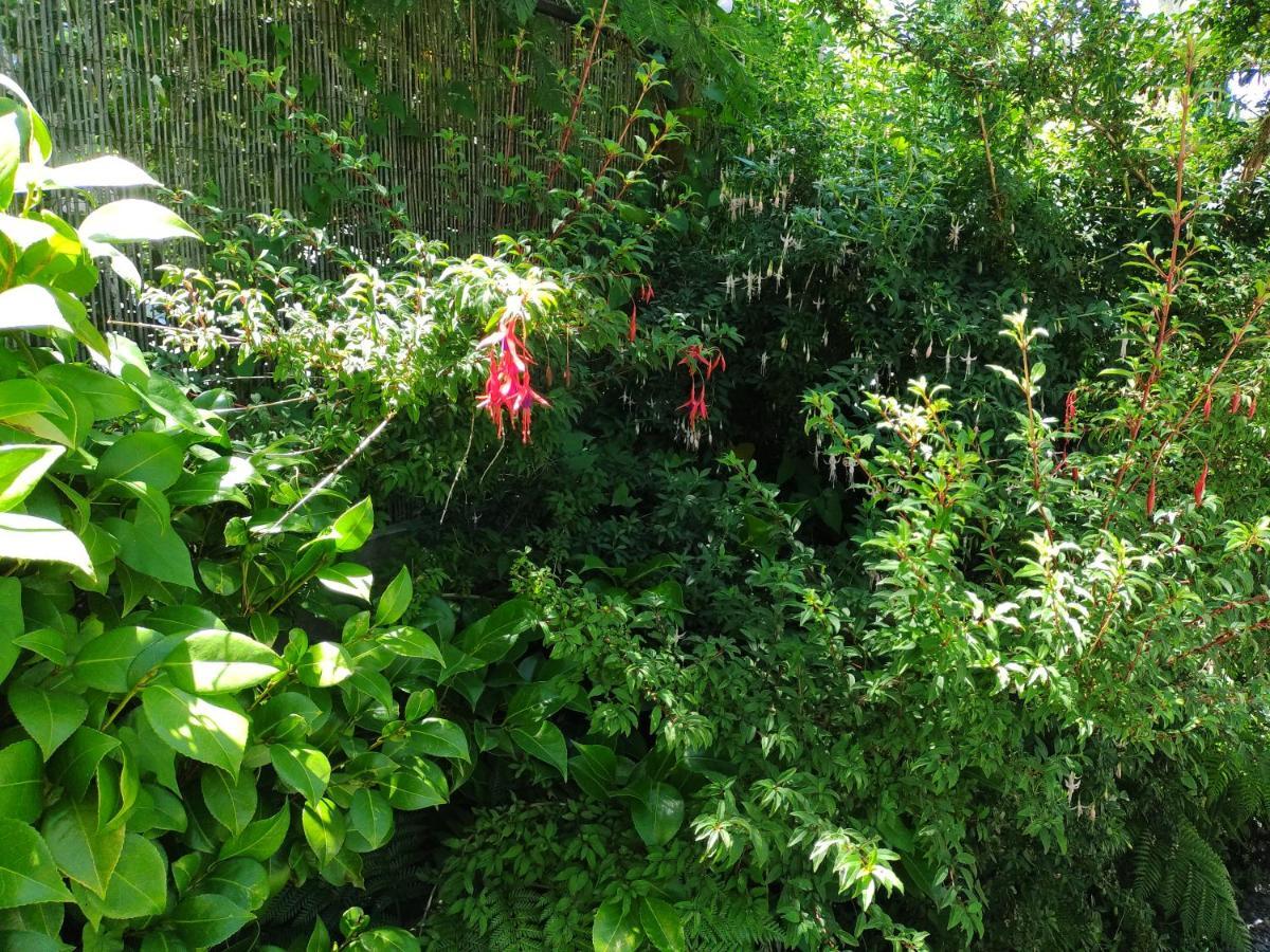 Complejo Cabanas Petalos Βιγιαρίκα Εξωτερικό φωτογραφία
