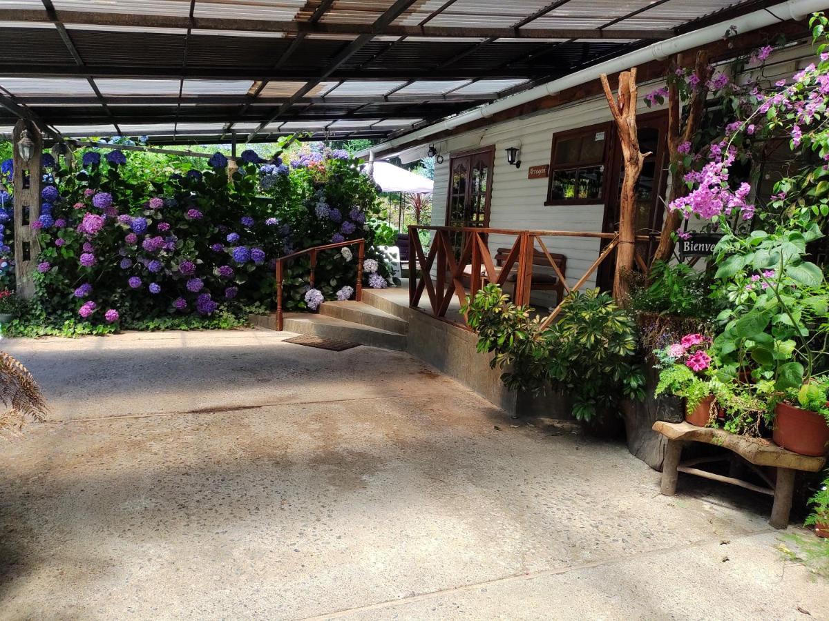 Complejo Cabanas Petalos Βιγιαρίκα Εξωτερικό φωτογραφία