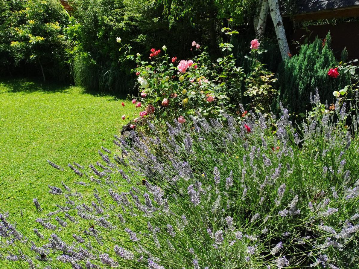 Complejo Cabanas Petalos Βιγιαρίκα Εξωτερικό φωτογραφία