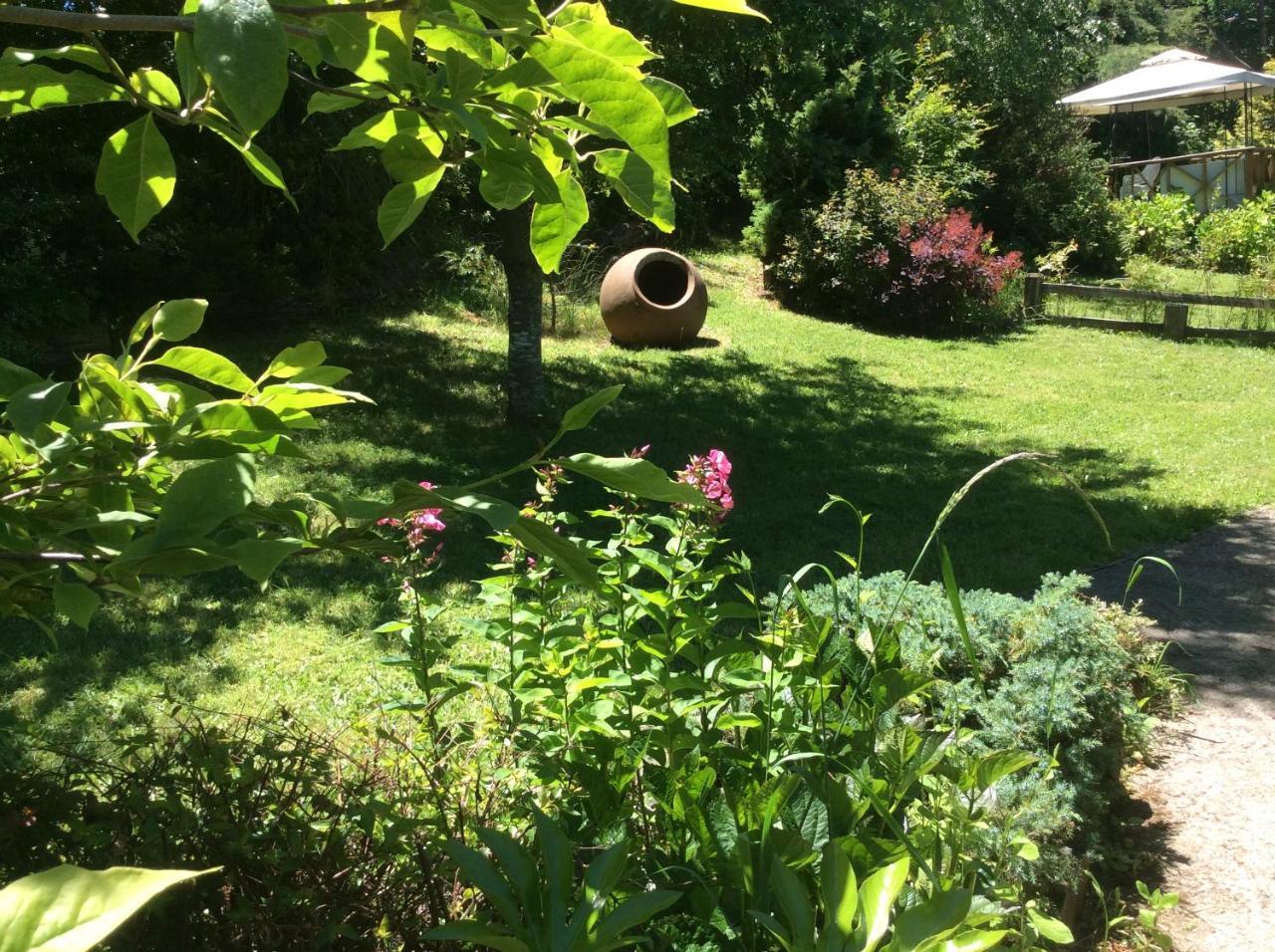 Complejo Cabanas Petalos Βιγιαρίκα Εξωτερικό φωτογραφία